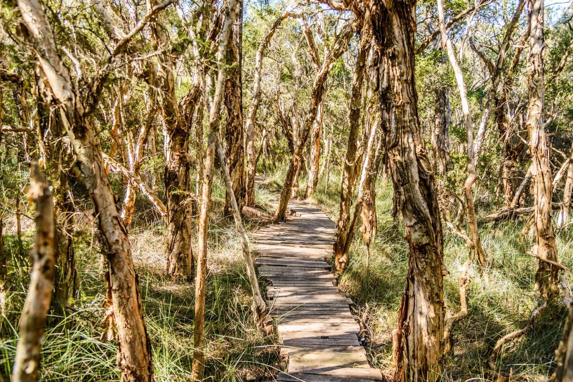 Melaleuca Villa Bensville Buitenkant foto